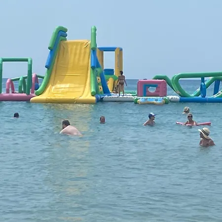 Art 尼亚米卡尼奥纳