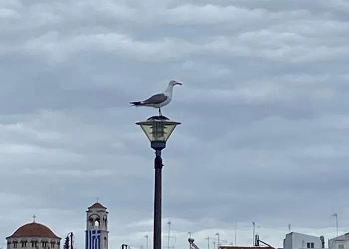 Art Apartamento Nea Michaniona