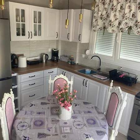 Art * Nea Michaniona